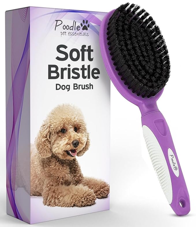 Soft Bristle Dog Brush For Short Haired Cats Or Dogs - Firm Bristles To Remove Dust, Dirt, And Loose Fur - Hook And Rubber...