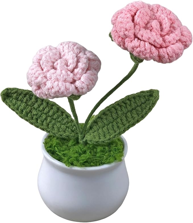 Joekaran Crochet Flowers Cute Little Potted Flower, Birthday Gifts for Women, Mother's Day, Teacher’s Day, Graduation, Ann...