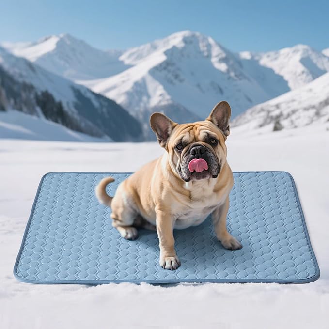 Soulbond Cooling Mat for Medium Dogs - 29"x40" Washable Cooling Pad for Cats, QMAX>0.3, Anti-Slip Bottom, Portable Summer ...