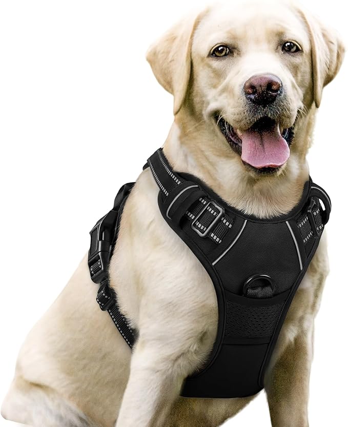rabbitgoo Dog Harness No Pull with 2 Leash Clips, Adjustable Soft Padded, Reflective Oxford No Choke Pet Vest with Easy Co...