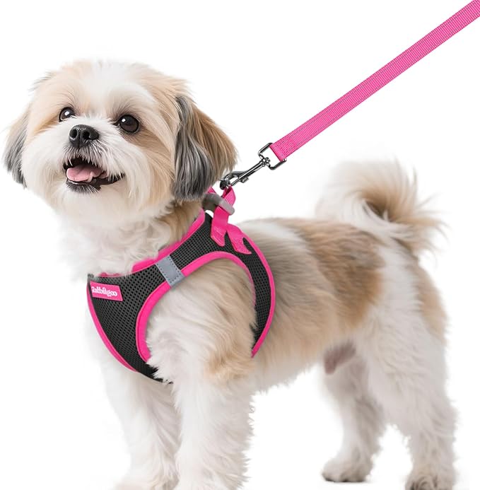 rabbitgoo Dog Harness Small Sized and Leash Set, Step-in Breathable Pet Harness, Soft Walking Reflective Puppy Vest for Sm...