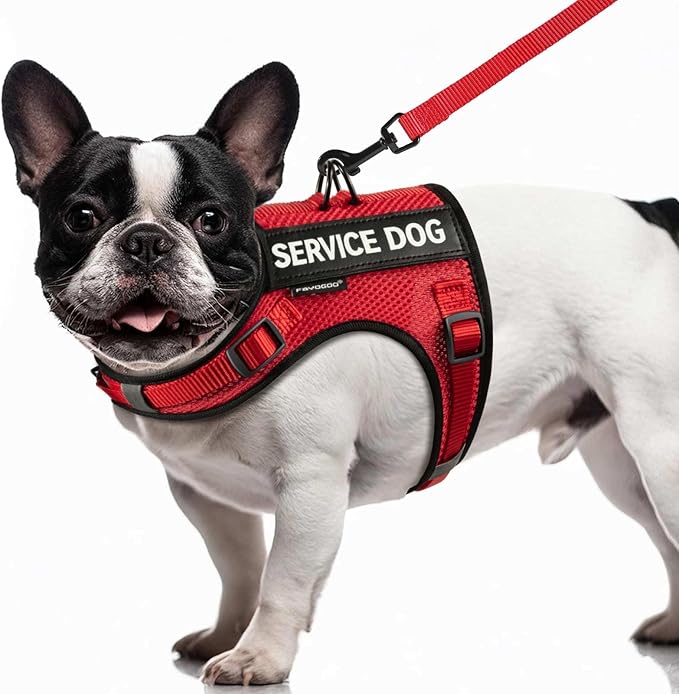 FAYOGOO Service Dog Vest for Small Dogs - Breathable Air Mesh Service Dog Harness with Leash & 6 Patches, Adjustable No-Ch...