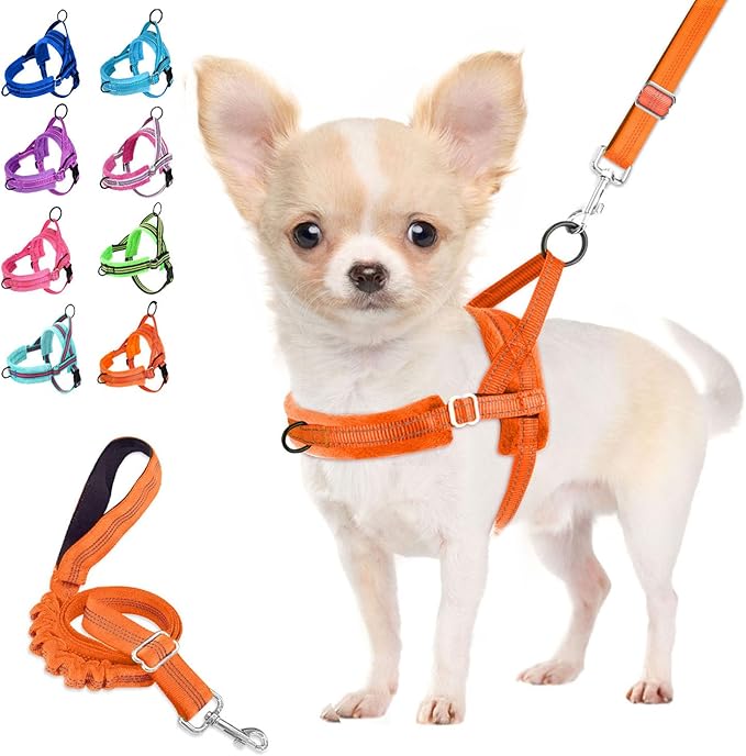 Lukovee No Pull Dog Harness and Leash Set, Soft Padded Small Dog Harness, Neck & Chest Adjustable Reflective Vest Puppy Ha...