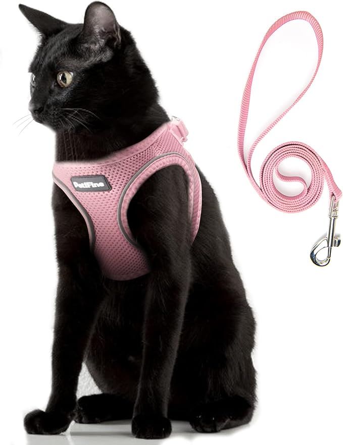 PetiFine Extra Small Step in Dog Harness and Leash Set, Cat Harness and Leash Escape Proof, All Weather Mesh Reflective, S...