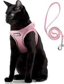 PetiFine Extra Small Step in Dog Harness and Leash Set, Cat Harness and Leash Escape Proof, All Weather Mesh Reflective, S...