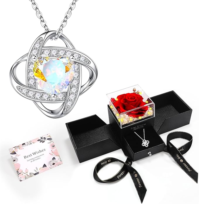 Mealcon Eternal Preserved Red Rose with Necklace Gift Box Romantic Real Flower for Women Ideal for Birthday, Anniversary, ...