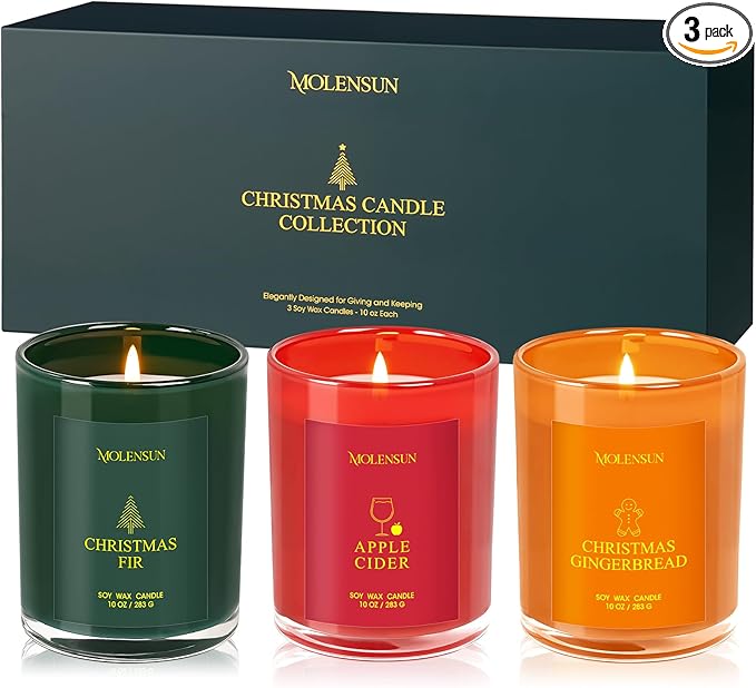 Valentine's Day Candles Gift Set, 3 Pack 30oz Scented Candles for Home, Soy Candle Scents of Apple Cider/Gingerbread/Fir, ...
