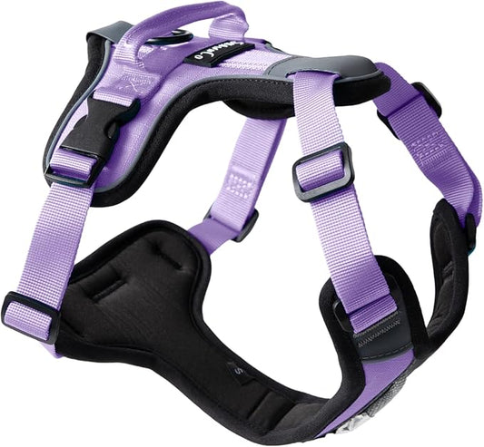 ShawnCo Basecamp Dog Harness, No-Pull Pet Vest with 3 Leash Clips, Padded, Reflective, Lightweight and Adjustable Harness ...