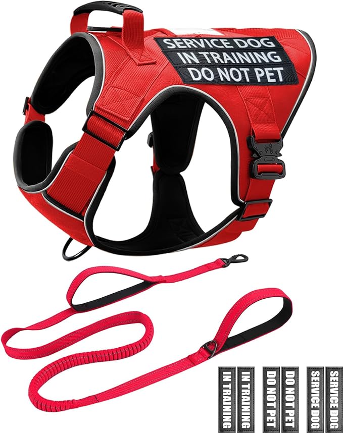 Service Dog in Training Vest Leash Set, Reflective Do Not Pet Dog Harness with Handle and 6 Patches, Full Metal Buckles, f...