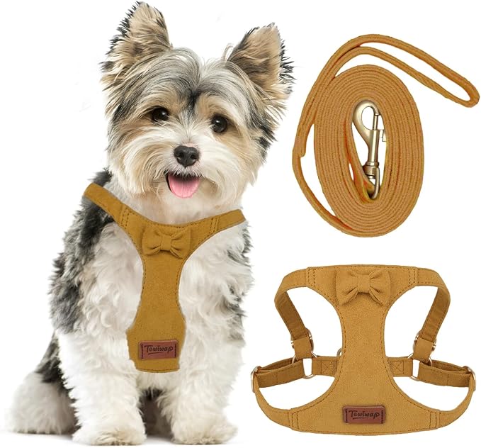 Tewiwap No Pull Small Dog Harness and Leash Set, Adjustable Puppy Harness for Extra Small XS XXS Girl Dogs, Soft Suede No ...