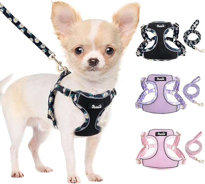 Lukovee No Pull Puppy Harness and Leash Set - Soft Lightweight Escape Proof Puppy Vest Harness, Breathable Adjustable Pet ...