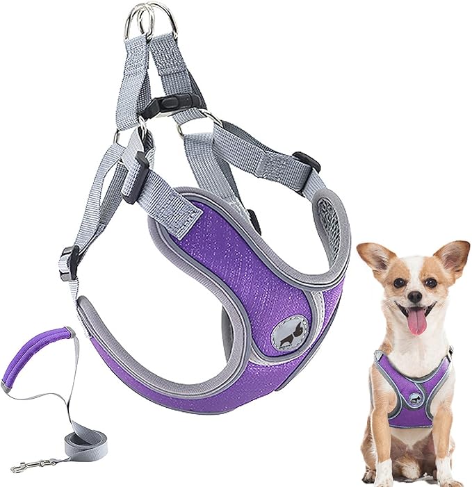 Dog Harness with Leash Set, No Pull Adjustable Step in Collars Harness with Breathable Padded Vest for Small Dogs Training...