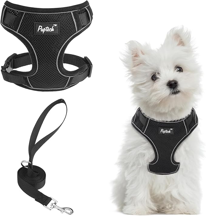 PUPTECK Small Dog Harness and Leash Set, No Pull Adjustable Puppy Cat Harness, Reflective Soft Mesh Pet Vest Small Sized, ...