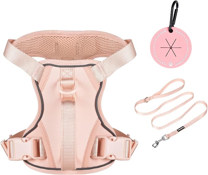 Petmolico Dog Harness for Small Dogs, Cute Harness Vest with Two Leash Clips and Soft Handle, Reflective Easy Walk Puppy V...