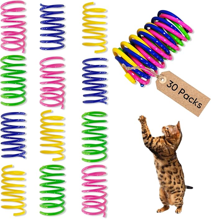AGYM Cat Toys for Indoor Cats, 30 Pack Interactive Cat Spring Toys, Durable Colorful Plastic Spiral Springs for Kitten Hun...