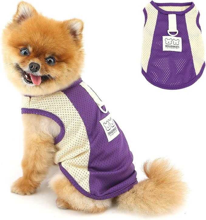 PAIDEFUL Breathable Mesh T-Shirt for Small Dogs Summer Doggie Cool Vest Soft Lightweight Puppy Tee Shirts Sleeveless Pet T...