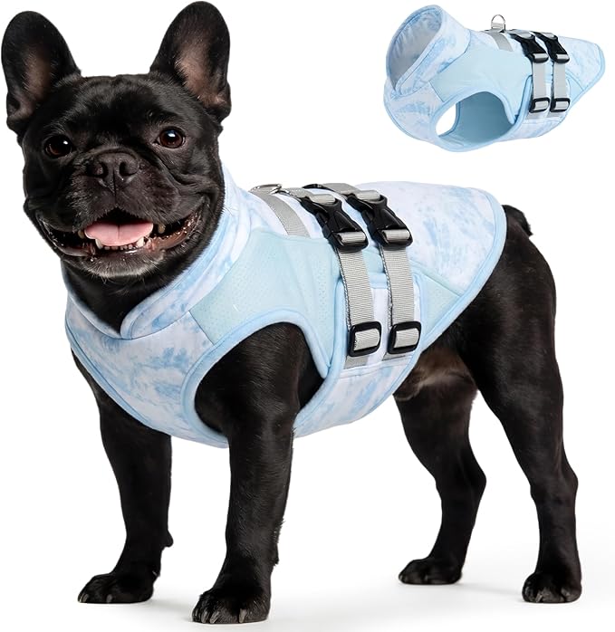 DORA BRIDAL Dog Cooling Vest for Summer, Lightweight Breathable Mesh Cooler Jacket with Harness, Soft Pet Cooling Shirt fo...