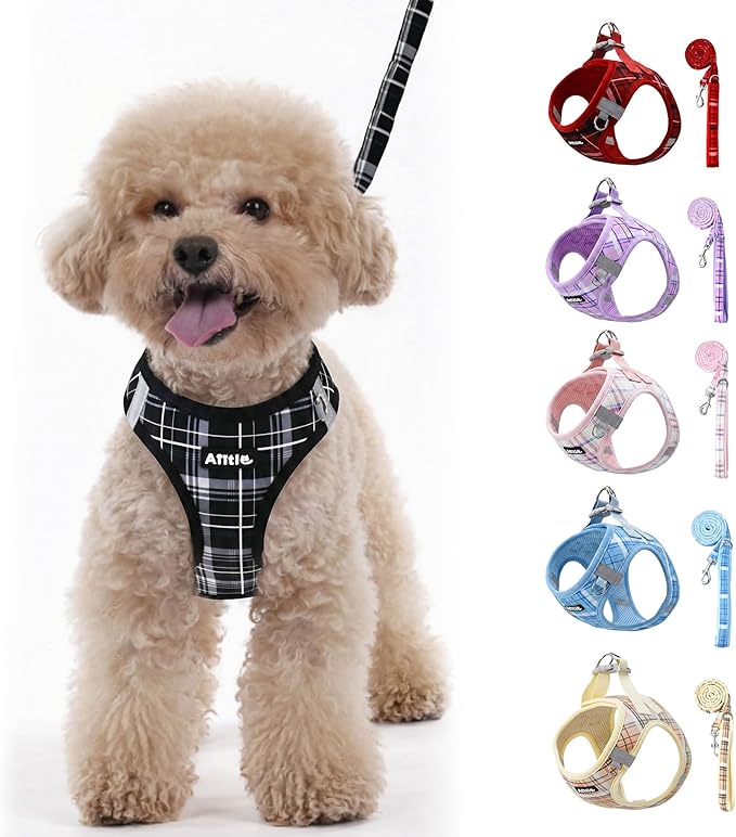 AIITLE Dog Harness Leash Set for Medium Dogs, Step in No Choke Reflective Adjustable Vest Harness with Leash, Breathable P...