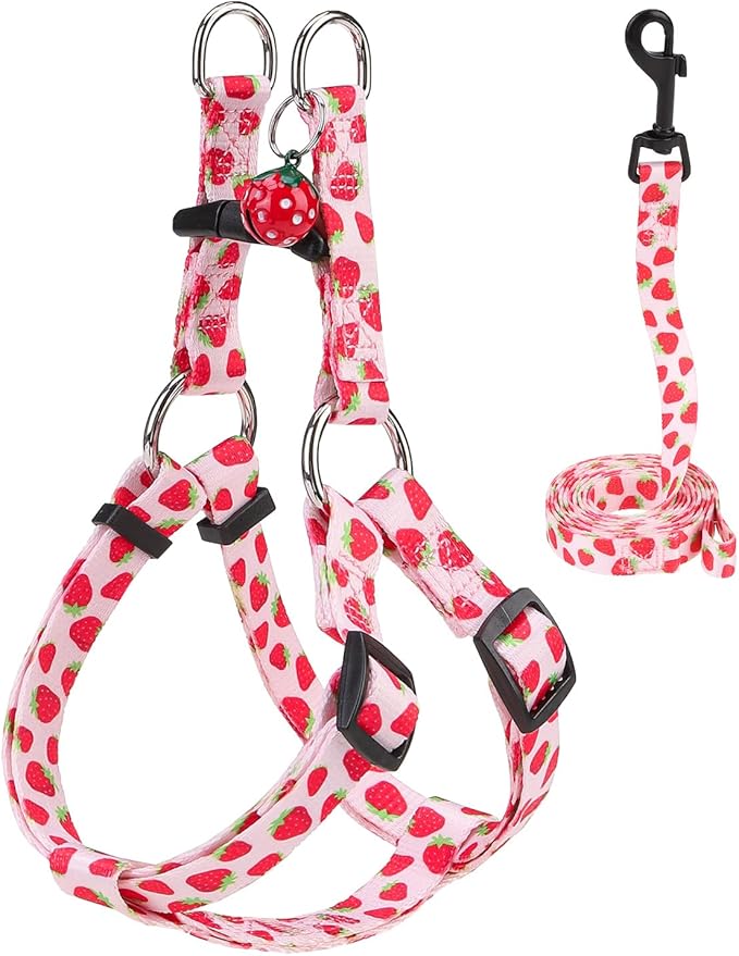 BEAUTYZOO Dog Harness Small Sized Dog Girl, No Pull Dog Harness and Leash Set,Step in Soft Light Puppy Vest, No Choke Heav...