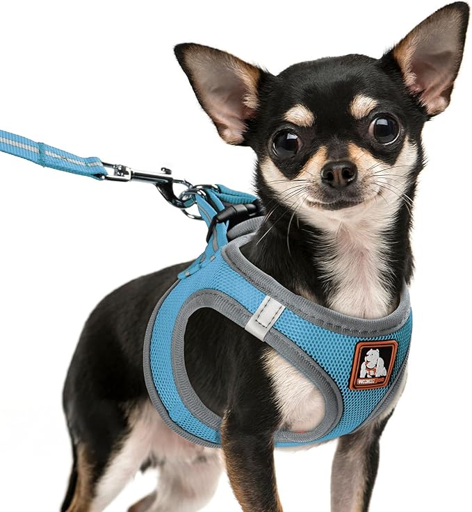 Dog Harness Medium Sized Dogs, Puppy Harness and Leash Set for Training, Running, Walking, Suitable for Small and Medium D...
