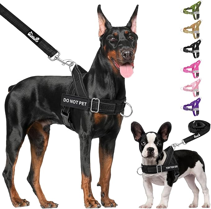 Lukovee No Pull Dog Harness & Leash Set - Heavy Duty Dog Vest Harness with Soft Padded for Medium Large Dogs, Adjustable R...