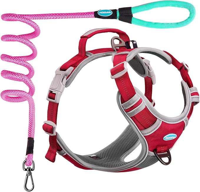 ThinkPet No Pull Harness Set Breathable Sport Harness with Handle - Reflective Padded Dog Safety Vest with Reflective Neon...