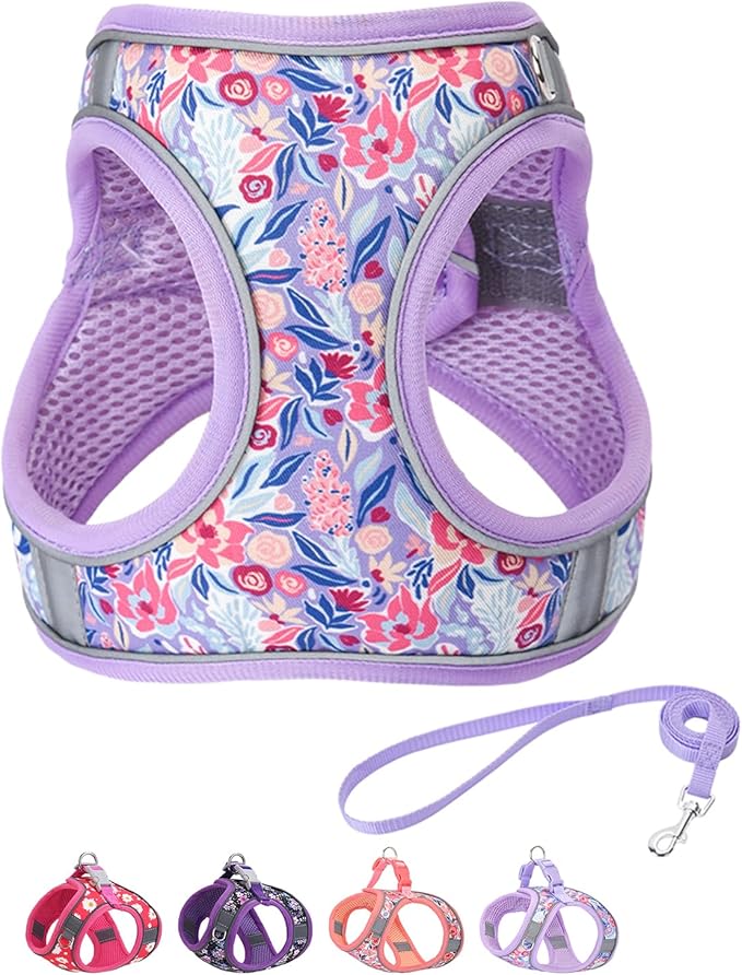 Step in Dog Harness and Leash Set, Flower Adjustable Easy Walk Puppy Harnesses, Soft Mesh Pet Vest Harness Small Size Dog ...
