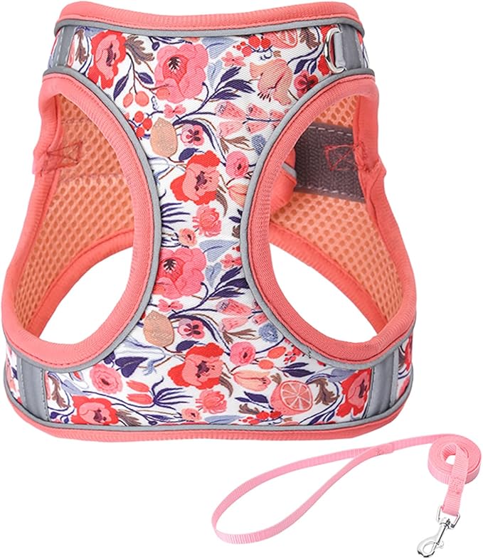 JUFOO S Peach Flower Pattern Dog Harness and Leash Set,No Escape Puppy Harnesses for Training Walking，Breathable Adjustabl...