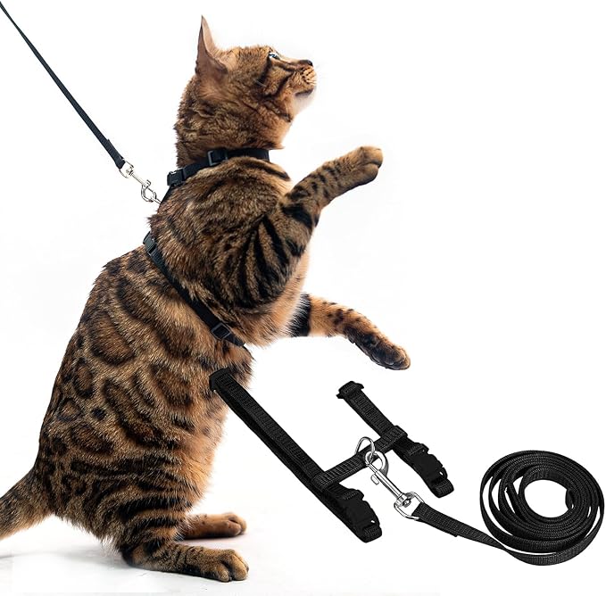 PUPTECK Adjustable Cat Harness and Leash Set Escape Proof Kitten Strap Collar for Walking Travel, Black