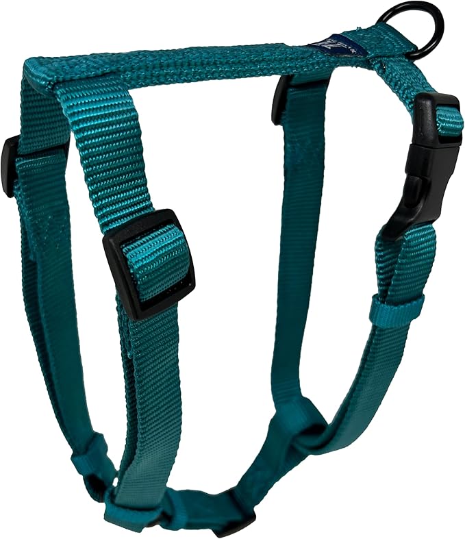 Hamilton Adjustable Comfort Nylon Dog Harness, Teal, 3/4" x 20-30"