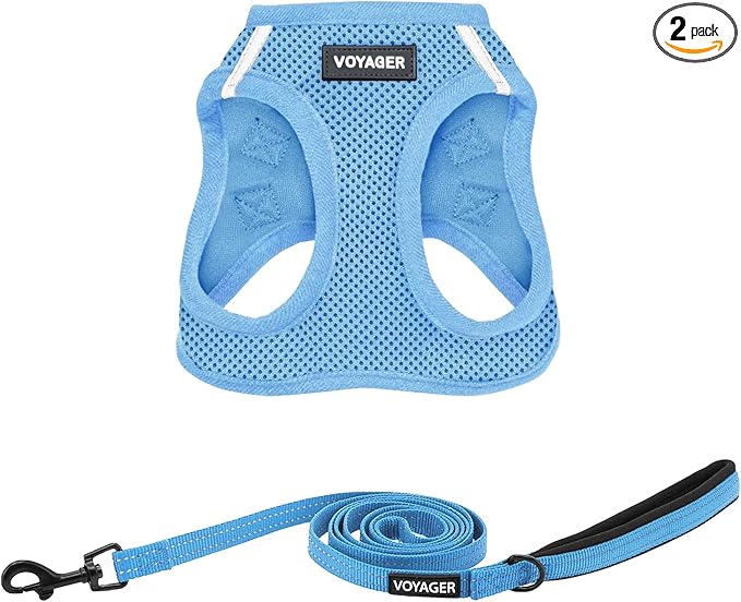 Best Pet Supplies Voyager Step-in Air All Weather Mesh Harness and Reflective Dog 5ft Leash Combo with Neoprene Handle, fo...