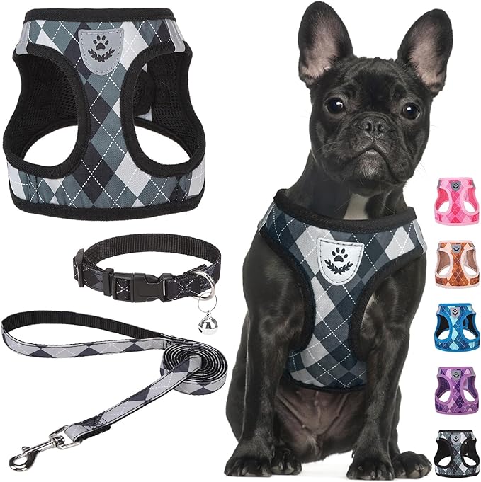 SCENEREAL Small Dog Harness and Leash Collar Set, Step in No Pull Soft Mesh Dog Harnesses for Small Medium Sized Dogs Pupp...