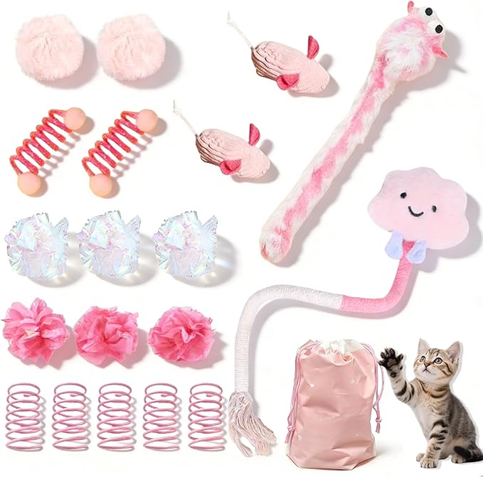 AINTE 20 Pcs Cat Toy Pack Interactive Kitten Toy Set,Including Cute Catnip Chew Rope Springs Mice Crinkle Ball Furry Balls...