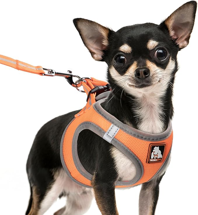 Dog Harness Medium Sized Dogs, Puppy Harness and Leash Set for Training, Running, Walking, Suitable for Small and Medium D...