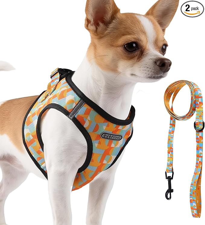 EVERKING Breathable Mesh No-Pull Dog Harness & Leash Set for Small Dogs, Reflective Trim for Safety – Comfortable Vest Des...