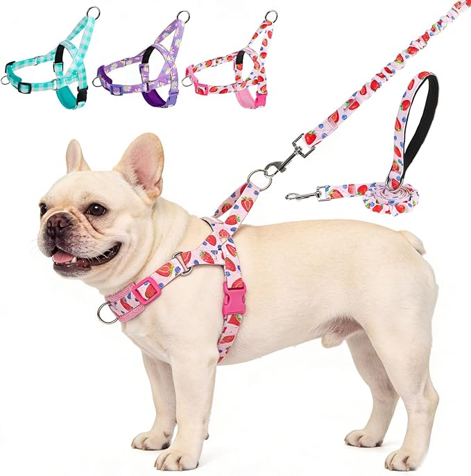 EXPAWLORER No Pull Small Dog Harness and Leash Set, Adjustable Soft Breathable Mesh Puppy Vest with Padded, Quick Fit Esca...