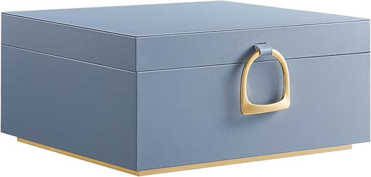 SONGMICS 2-Layer Jewelry Box, Jewelry Organizer with Handle, Removable Jewelry Tray, Jewelry Storage, Floating Effect, 8.1...