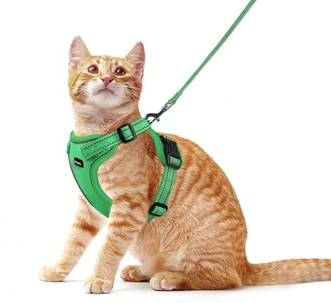 Rttochfy Cat Harness and Leash Set, Adjustable and Reflective Cat Vest, Escape Proof Kitten Harness, Easy to Put on with 3...
