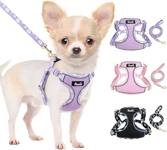 Lukovee No Pull Puppy Harness and Leash Set - Soft Lightweight Escape Proof Puppy Vest Harness, Breathable Adjustable Pet ...