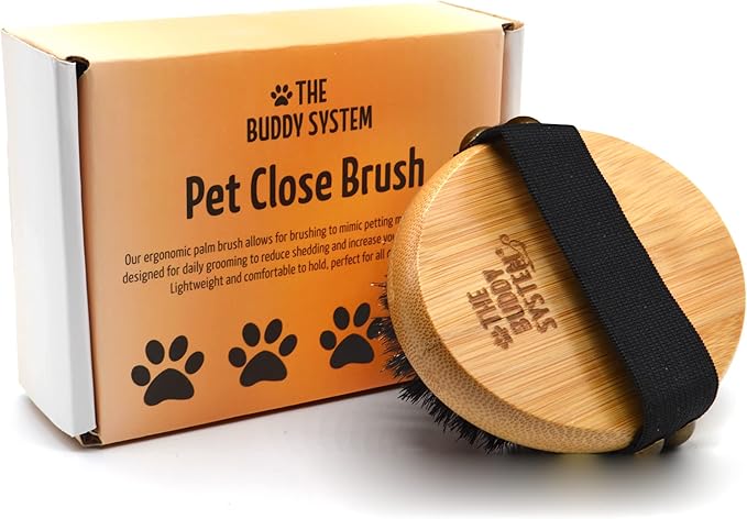 The Buddy System Pet Close Brush, Soft Touch Oval Palm Brush - Bamboo Massage Handheld with Soft Boar Bristles and Elastic...