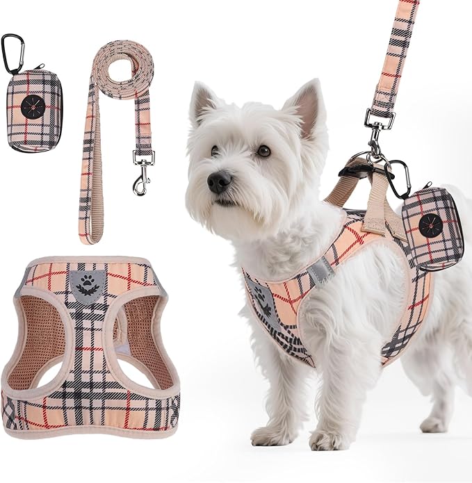 PAWCHIE Dog Harness and Leash Set, Step in No Pull Soft Pet Harness, Reflective Adjustable Puppy Vest for Small Medium Dog...