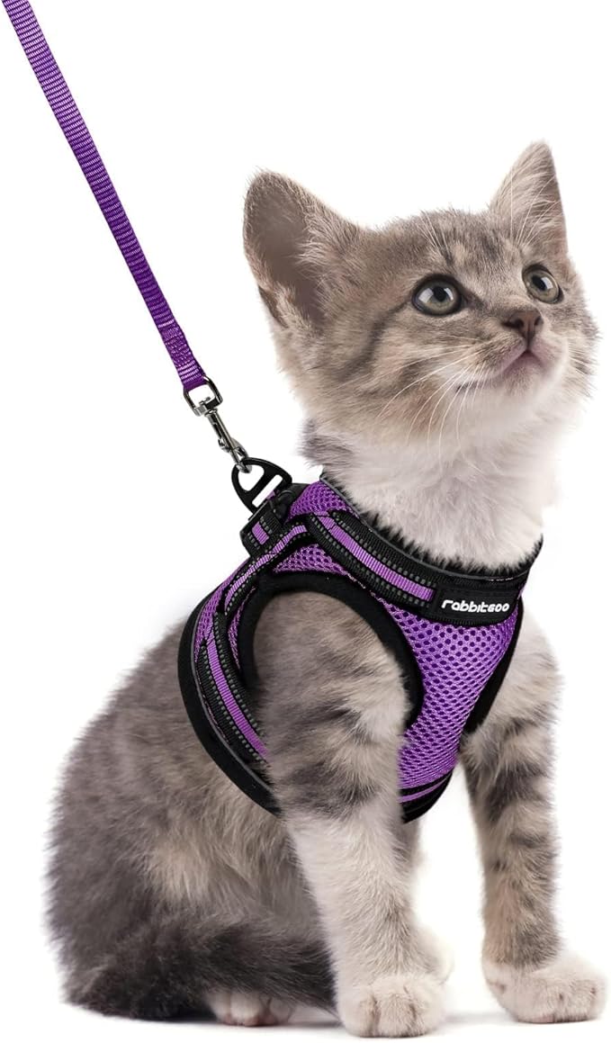 rabbitgoo Cat Harness and Leash Set for Walking Escape Proof, Adjustable Soft Kittens Vest with Reflective Strip for Cats,...
