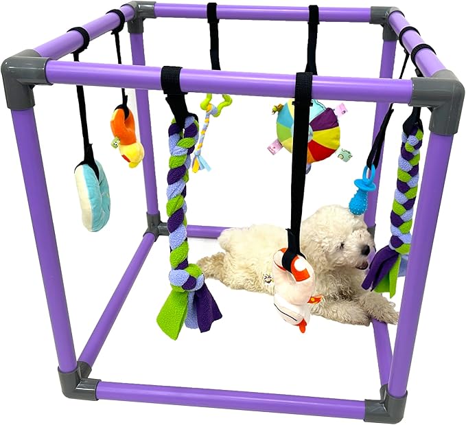DOZZOPET Puppy Play Gym for Small Dogs with 8 Hanging Toys, Jungle Playground with Interactive Funny Enrichment Toys to Ke...
