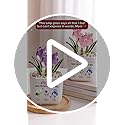Wrappiness Glass Everlasting Tulips Pot for Women Personalized Gifts - Glass Flowers Decor, Birthday Gift for Mom from Kid...