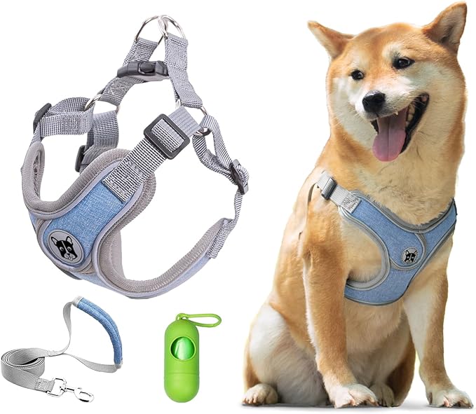 Patas Lague Dog Harness with Leash Set for Small Medium Dogs, No Pull No Choke Reflective Step in X Head Pet Harness Vest ...