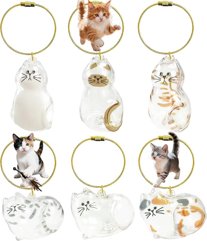 floofelove 6PCS Cat Fur Keepsake Storage Bottle - Pet Memorial Gifts for Cats Transparent Cat Hair Keychain Collection Dog...