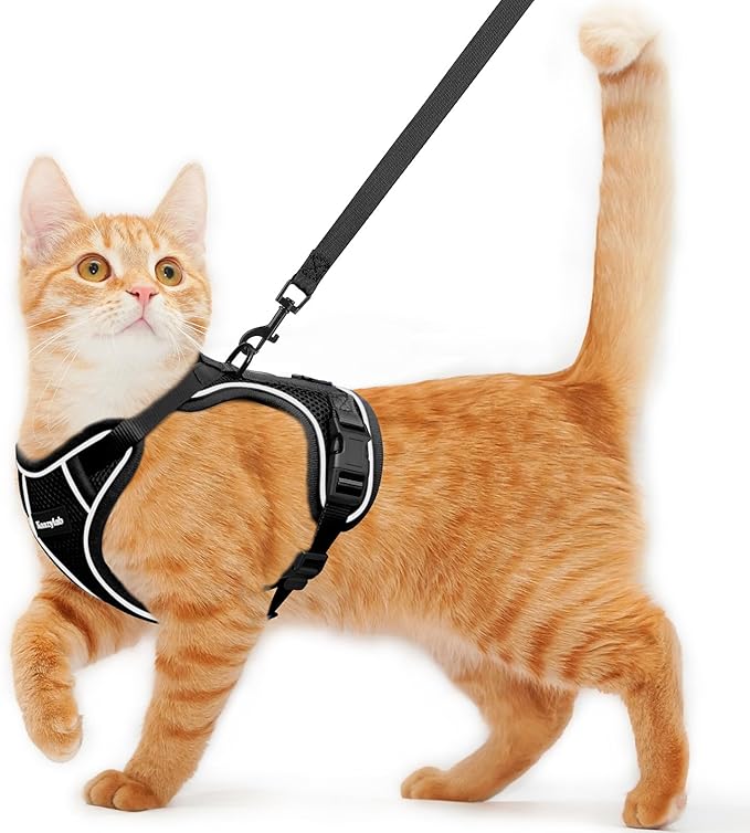 Cat Harness and Leash for Walking Escape Proof Soft Adjustable Cat Leash Breathable Comfortable Vest Easy to Wear Kitten H...