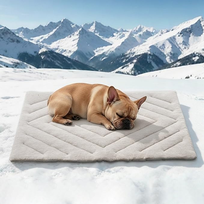 BECROWM Dog Cooling Mat Self Coolings Foldable Cooling Pad for Dog in Summer Coolings Mat for Dogs and Cats Machine Washab...