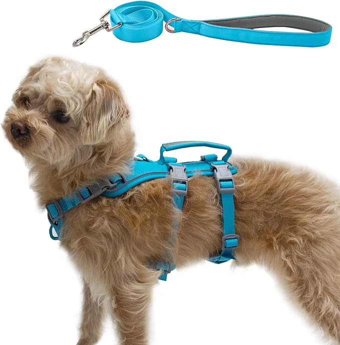 Wuffley Escape Proof Dog Harness and Leash Set, Lightweight Dog Harness with Lift and Assist Handle, No Pull Reflective Pe...