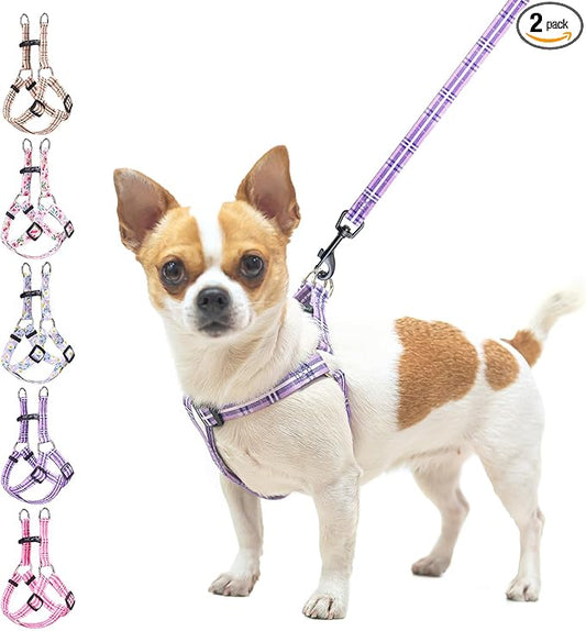 BEAUTYZOO No Pull Dog Harness and Leash Set - Adjustable Step-in Puppy Harness for Small Medium Large Dogs, Escape Proof S...